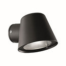 Applique extérieure noire GAS 1X28W 4000K 430lm IP43