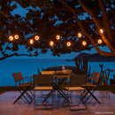 Guirlande HOOPIK cerise noire