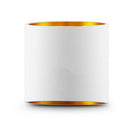 Applique murale blanc/doré up&down HOYA OBLIQUE ampoule G9 5W max