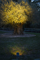 Spot solaire gris carbone OJE 3000K 600lm 24° IP66