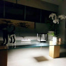 Lanterne solaire de table noire CAZUR