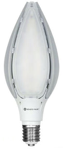 Ampoule LED ultra puissante
